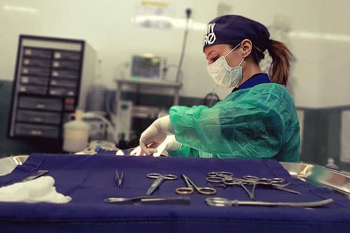 Urgencias veterinarias en Culleredo