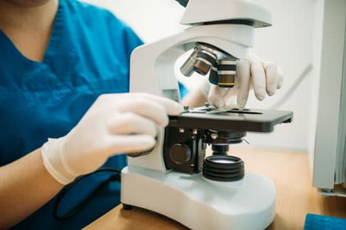 Consulta veterinaria en Culleredo
